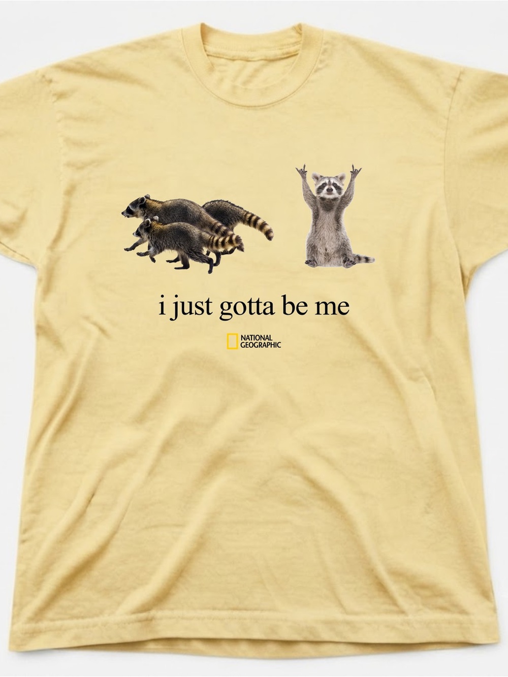 National Geographic Yellow "I Just Gotta Be Me" Cat Gildan T-shirt Raccoon
